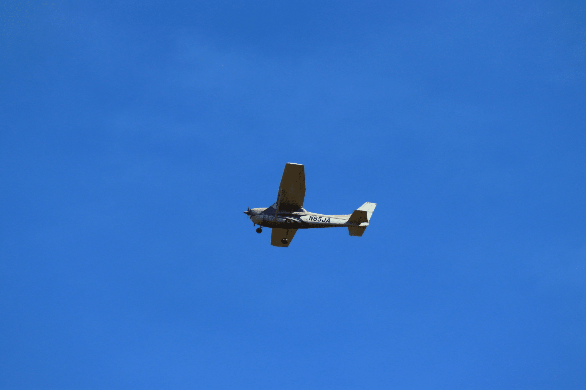 EVERYTHING TO KNOW ABOUT ARCHER visual data 7